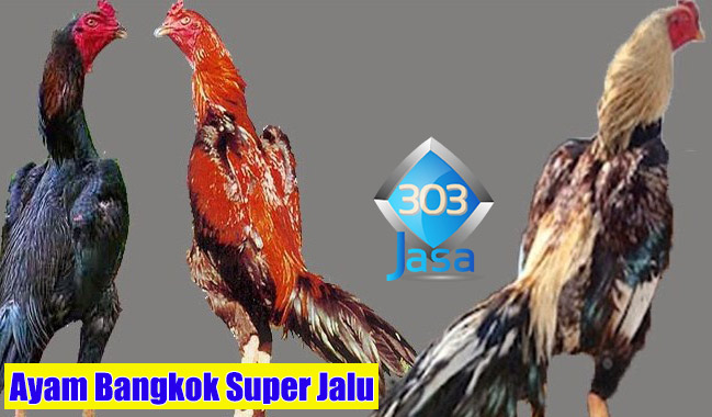 Ayam Bangkok Super Jalu